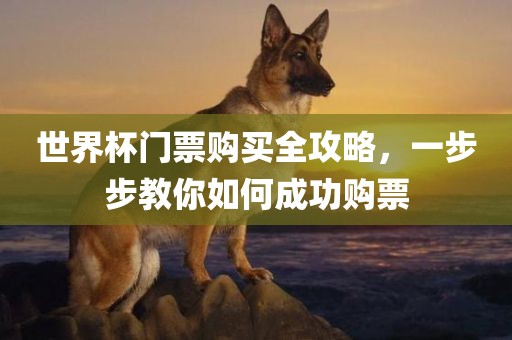 世界杯门票购买全攻略，一步步教你如何成功购票