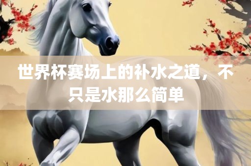 世界杯赛场上的补水之道，不只是水那么简单