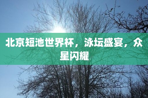 北京短池世界杯，泳坛盛宴，众星闪耀