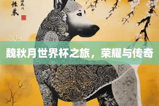 魏秋月世界杯之旅，荣耀与传奇