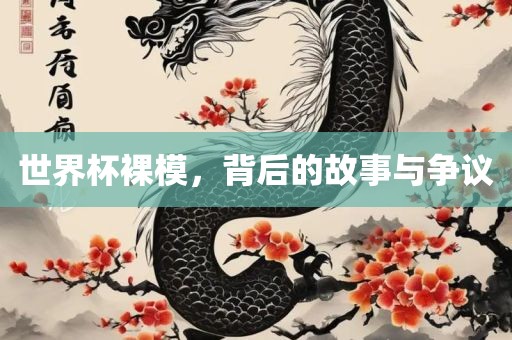 世界杯裸模，背后的故事与争议眉山市正发家政服务有限公司