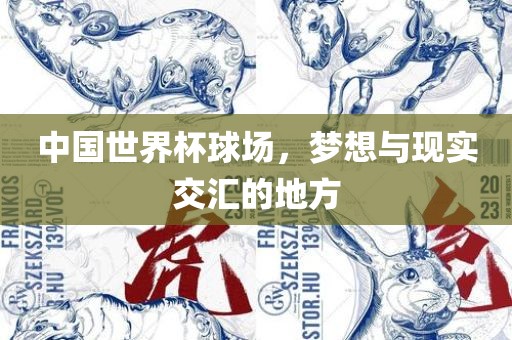 中国世界杯球场，梦想与现实交汇的地方眉山市正发家政服务有限公司