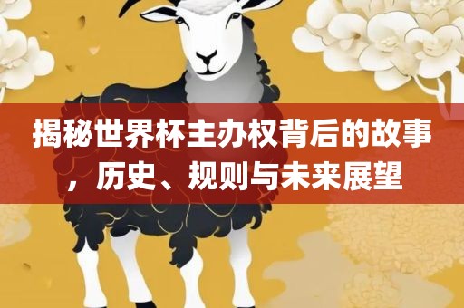 揭秘世界杯主办权背后的故事，历史、规则与未来展望眉山市正发家政服务有限公司