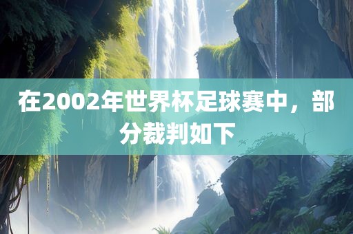 在2002年世界杯足球赛中，部分裁判如下眉山市正发家政服务有限公司