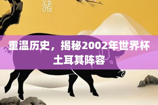 重温历眉山市正发家政服务有限公司史，揭秘2002年世界杯土耳其阵容