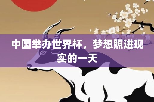 中国举办世界杯，梦想照进现实的一天