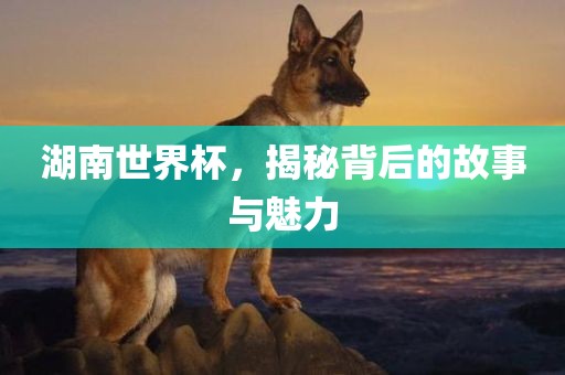 湖南世界杯，揭秘背后的故事与魅力