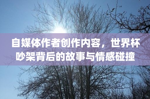 自媒体作者创作内容，世界杯吵架背后的故事与情感碰撞