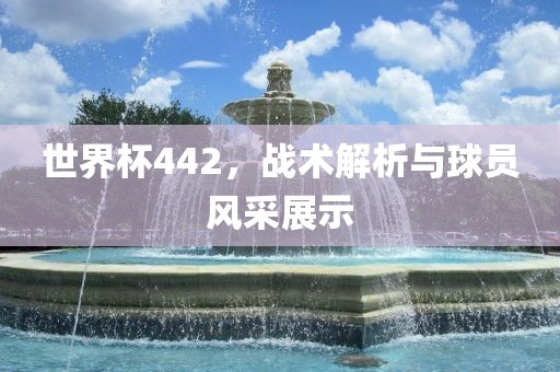 世界杯442，战术解析与球员风采展示眉山市正发家政服务有限公司