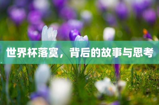 世界杯落寞，背后的故事与思考眉山市正发家政服务有限公司