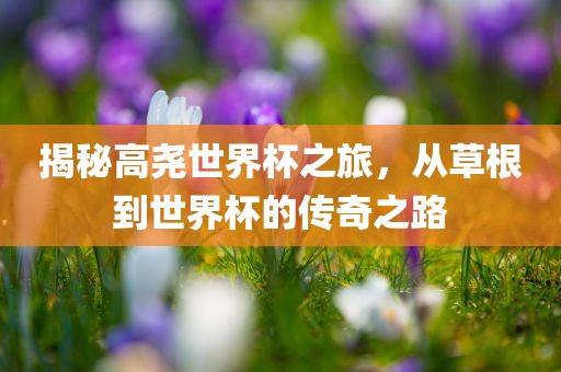 揭秘高尧世界杯之旅，从草根到世界杯的传奇之路