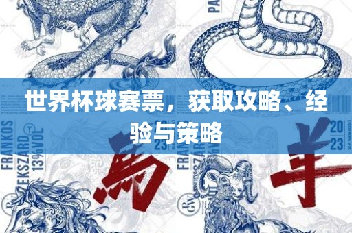 世界杯球赛票，获取攻略、经验与策略