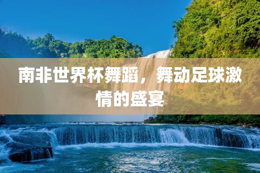南非世界杯舞蹈，舞动足球激情的盛宴眉山市正发家政服务有限公司