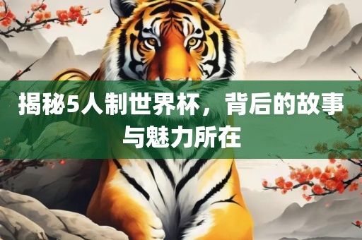 揭秘5人制世界杯，背后的故事与魅力所在眉山市正发家政服务有限公司