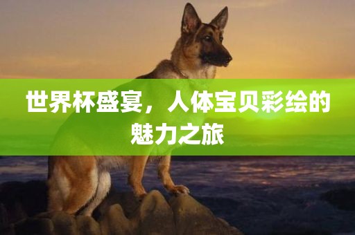 世界杯盛宴，人体宝贝彩绘的魅力之旅眉山市正发家政服务有限公司