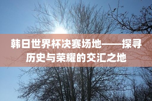 韩日世界杯决赛场地——探寻历史与荣耀的交汇之地眉山市正发家政服务有限公司