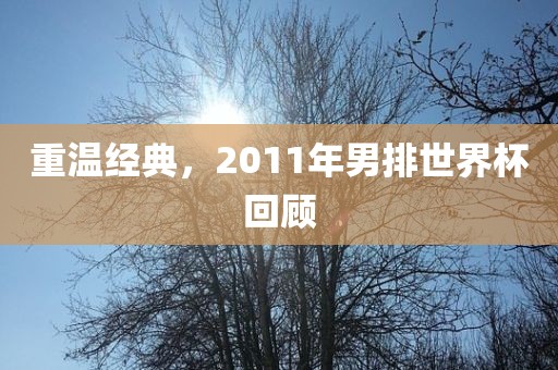 重温经典，2011年男排世界杯回顾