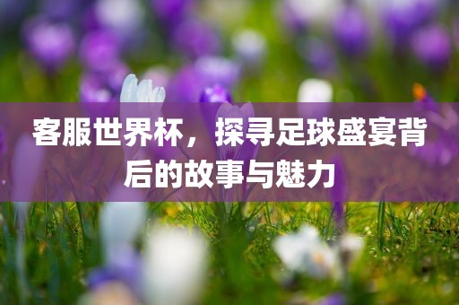 客服世界杯，探寻足球盛宴背后的眉山市正发家政服务有限公司故事与魅力