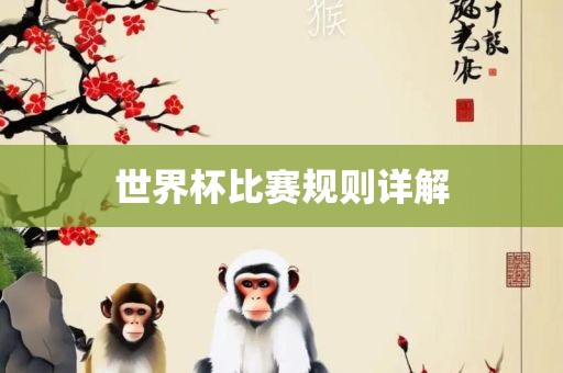 世界杯比赛规则详解