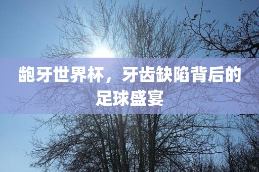 龅牙世界杯，牙齿缺陷背后的足球盛宴眉山市正发家政服务有限公司