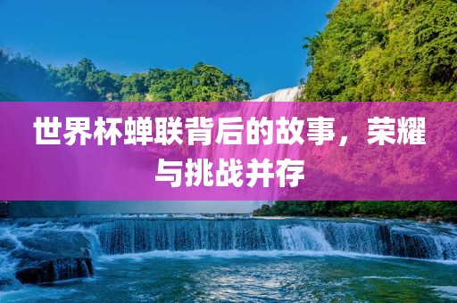 世界杯蝉联背后的故事，荣耀与挑战并存眉山市正发家政服务有限公司