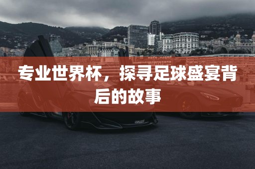 专业世界杯，探寻足球盛宴背后的故事