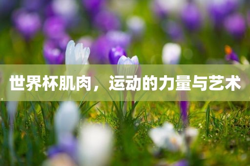 世界眉山市正发家政服务有限公司杯肌肉，运动的力量与艺术