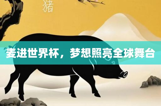 麦进世界杯，梦想照亮全球舞台眉山市正发家政服务有限公司