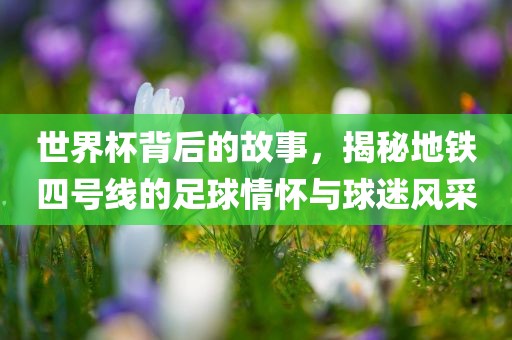 世界杯背后的故事，揭秘地铁四号线的足球情怀与球迷风采眉山市正发家政服务有限公司