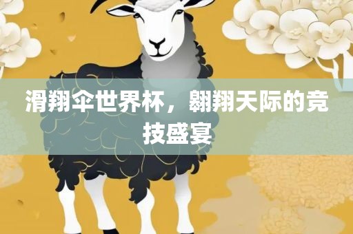 滑翔伞世界杯，翱翔天眉山市正发家政服务有限公司际的竞技盛宴