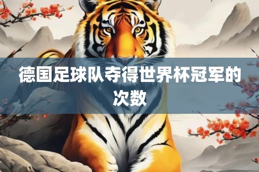 德国足球队夺得世界杯冠军的次数