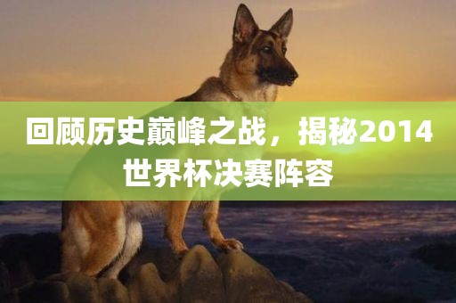回顾历史巅峰之战，揭秘2014世界杯决赛阵容