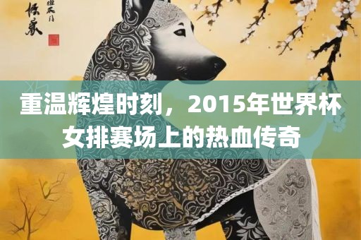 重温辉煌时刻，201眉山市正发家政服务有限公司5年世界杯女排赛场上的热血传奇