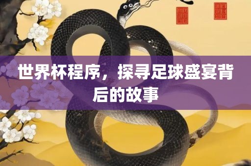 世界杯程序，探寻足球盛宴背后的故事