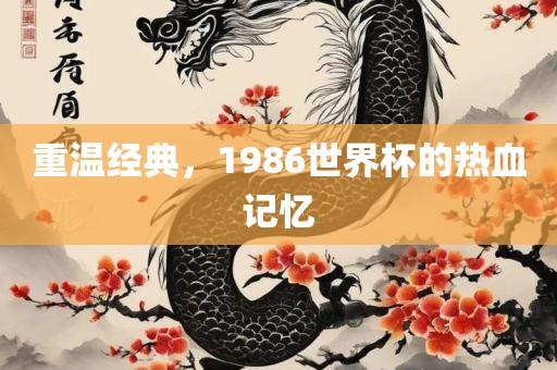 重温经典，1986世界杯的热血记忆