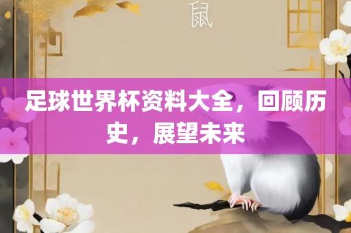 足球世界杯资料大全，回顾历史，展望未来