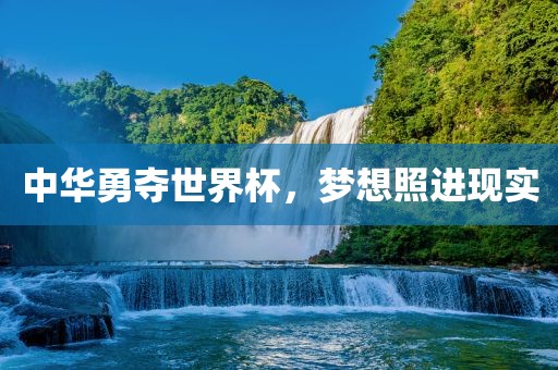 中华勇夺世界杯，梦想照进现实