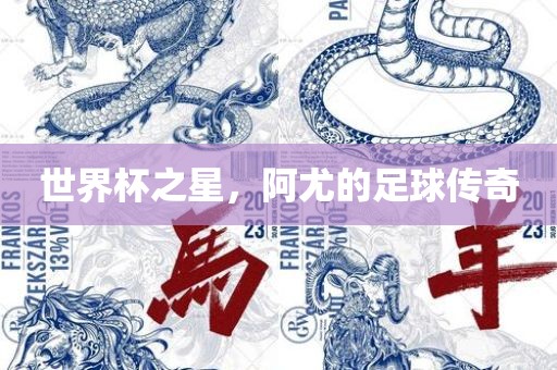 世界杯之星，阿尤的足球传奇