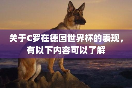关于C罗在德国世界杯的表现，有以下内容可以了解