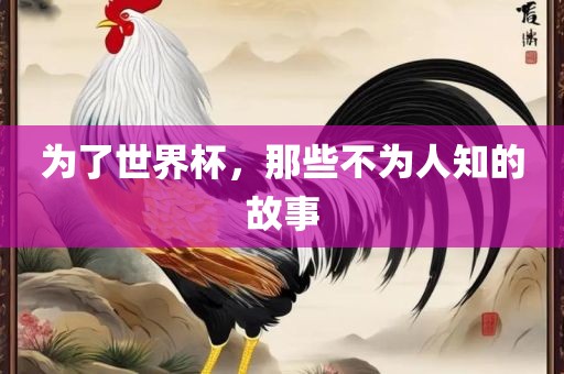 为了世界杯，那些不为人知的故事眉山市正发家政服务有限公司