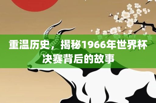重温历史，揭秘1966年世界杯决赛背后的故事眉山市正发家政服务有限公司
