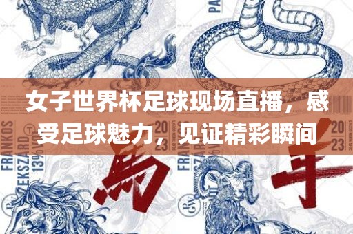 女子世界杯足球现场直播，感受足球魅力，见证精彩瞬间