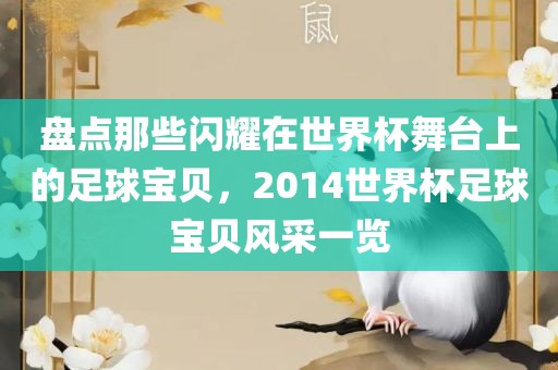 盘点那些闪耀在世界杯舞台上的足球宝贝，2014世界杯足球宝贝风采一览眉山市正发家政服务有限公司