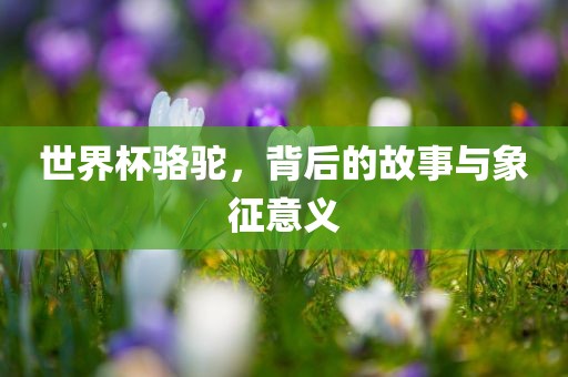 世界杯骆驼，背后的故事与象征意义