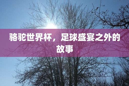 骆驼世界杯，足球盛宴之外的故事