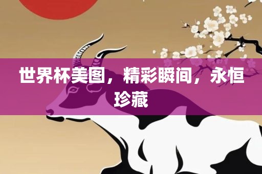 世界杯美图，精彩瞬间，永恒珍藏