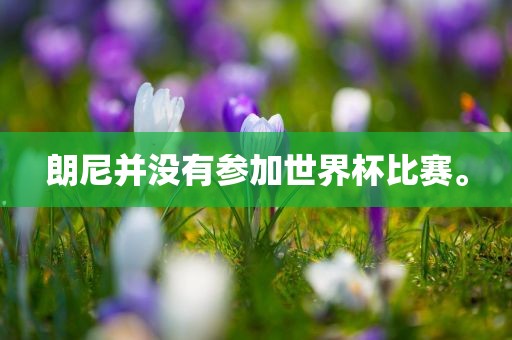 朗尼并没有参加世界杯比赛。眉山市正发家政服务有限公司