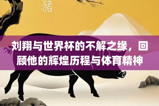 刘翔与世界杯的不解之缘，回顾他的辉煌历程与体育精神眉山市正发家政服务有限公司