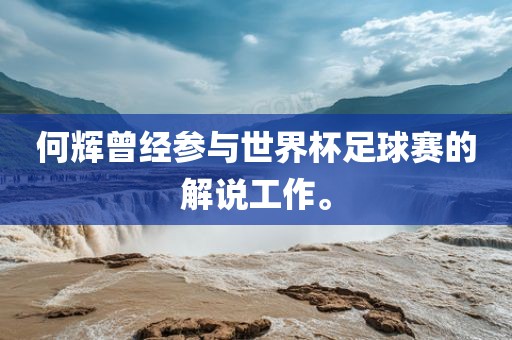 何辉曾经参与世界杯足球赛的解说工作。