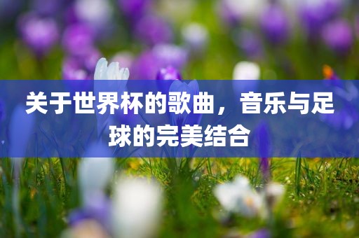关于世界杯的歌曲，音乐与足球的完美结合